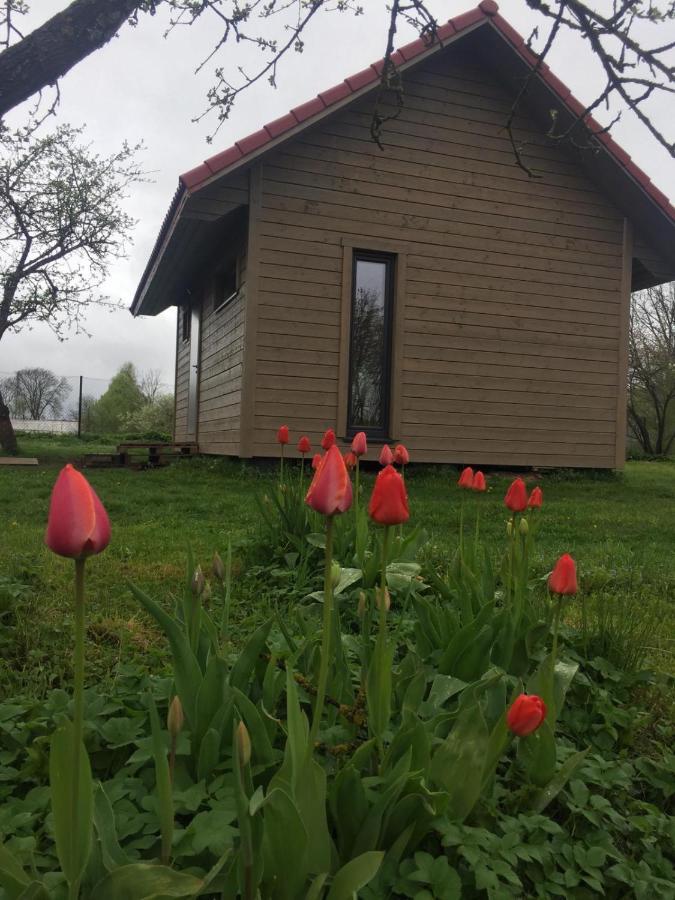 Holiday House Ausekla Namins ツェーシス エクステリア 写真