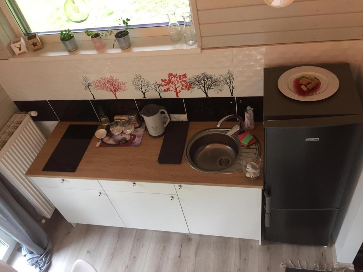 Holiday House Ausekla Namins ツェーシス エクステリア 写真