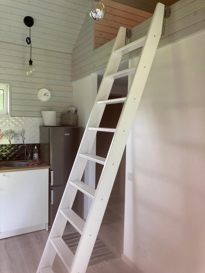 Holiday House Ausekla Namins ツェーシス エクステリア 写真