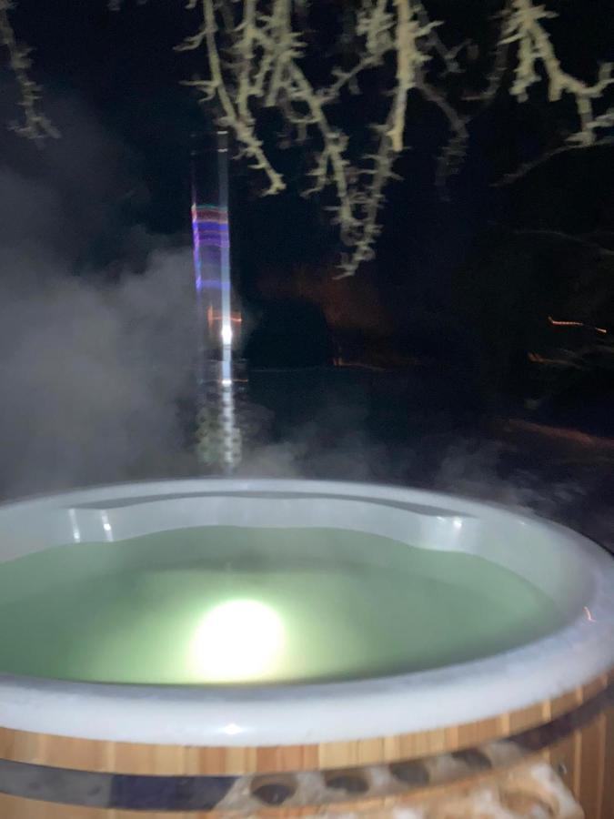 Holiday House Ausekla Namins ツェーシス エクステリア 写真