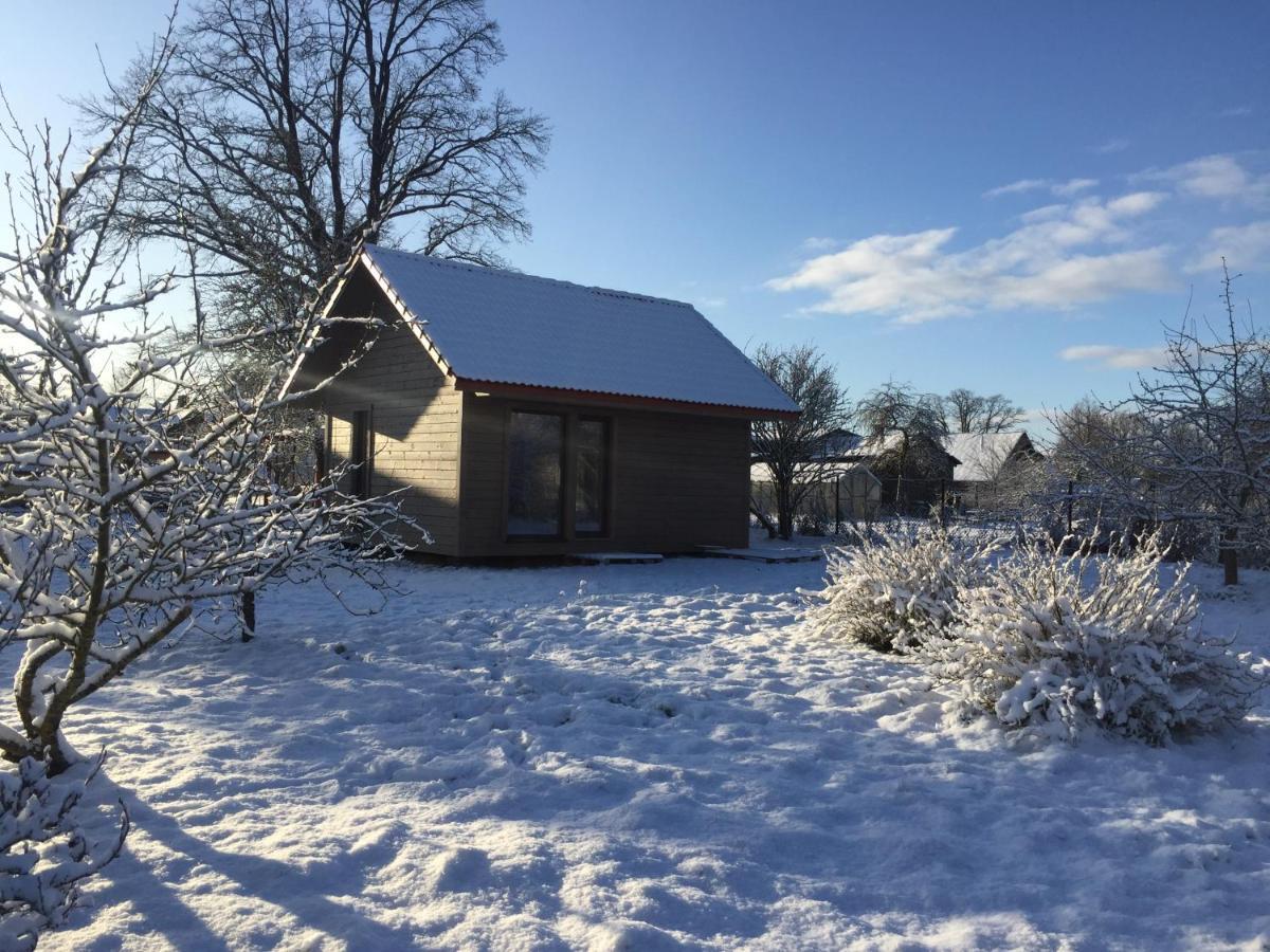Holiday House Ausekla Namins ツェーシス エクステリア 写真