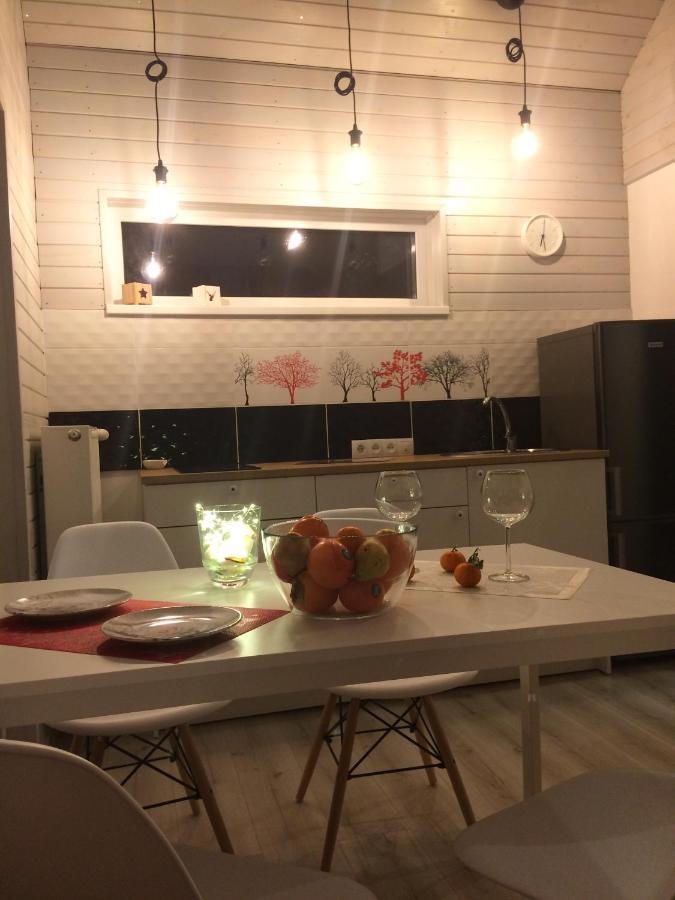 Holiday House Ausekla Namins ツェーシス エクステリア 写真