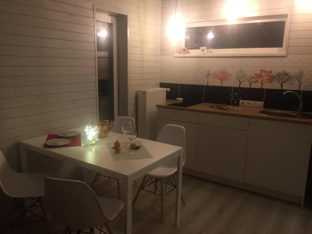Holiday House Ausekla Namins ツェーシス エクステリア 写真